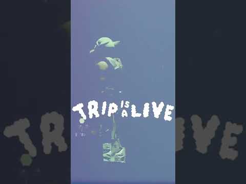 TRIP IS ALIVE TOURDIARY – Episode 1 – Ludwigsburg #shorts