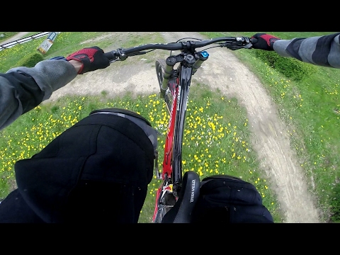 #1# Słoneczna Polana FR + 4X Szczawno Zdrój (ZNAJDŹ BESTIĘ)