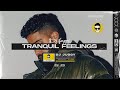 TRANQUIL FEELINGS | AP DHILLON & M HUNCHO | DJ JUGGY REMIX