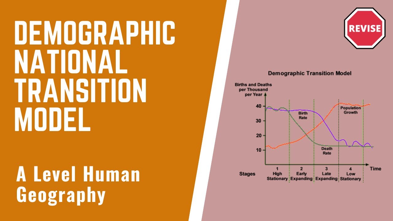 A Level Human Geography - The Demographic Transition Model
