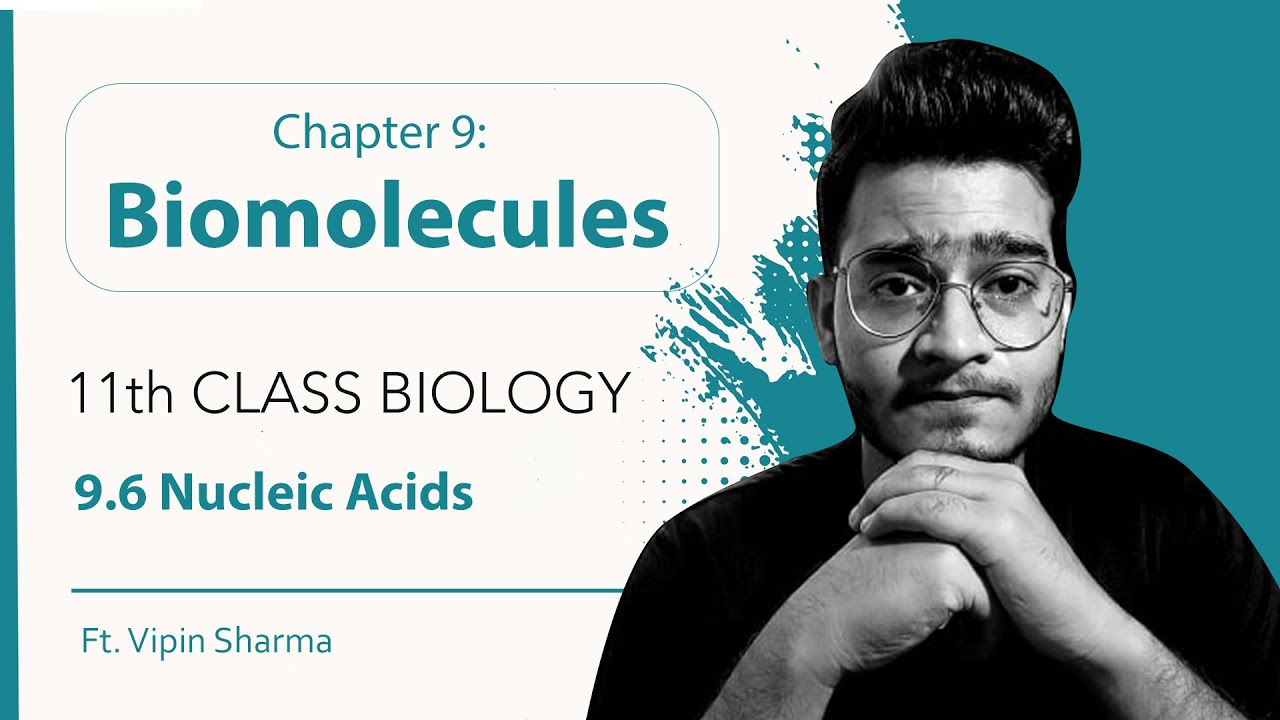 9.6 Nucleic Acids | Biomolecules | 11th Class Biology | Handwritten Notes Series ft. Vipin Sharma