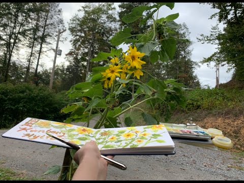 Minimalist Watercolor Floating Palette # Lightweight Field Kit # Plein Air Painting #Urban Sketching