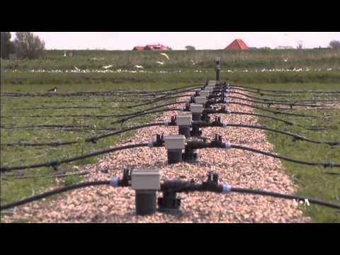 Farming With Salty Water Is Possible