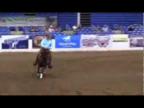 Gunners Tinseltown and Sam Schaffhauser, 2014 Cactus Reining Classic Level 3 Open Derby Champions