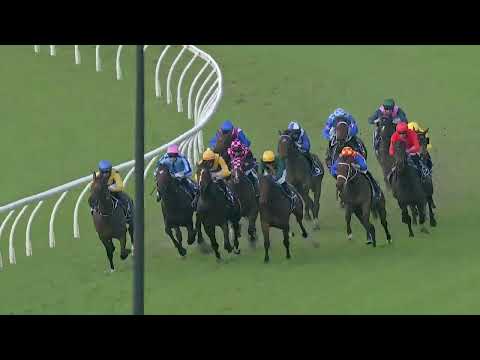 Tattersall's Stakes 2025 - AUTUMN BOY (2YO SW LR) Listed Eagle Farm 28 June