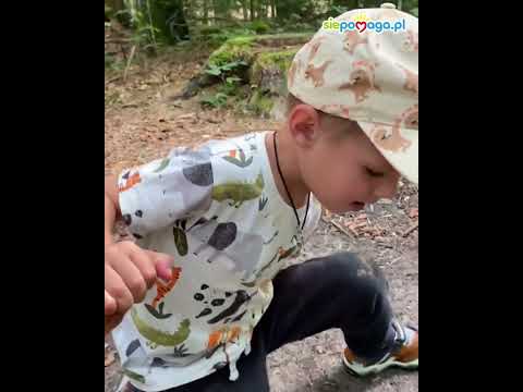 Obrazek poglądowy filmu YouTube