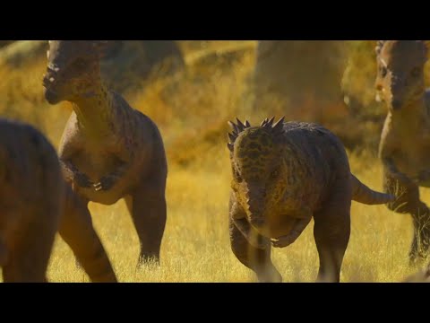 Prehistoric Planet 2 [2023] - Pachycephalosaurus Females Screen Time