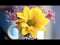 Live On Zindagi Jeene Ka Sahi Tarika Ignore With Smile Mrandmrsjaiswal Subscribe Viral Jaiswal