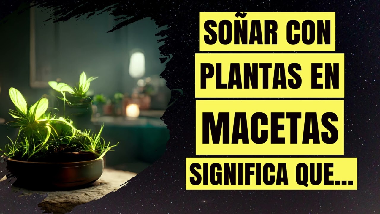 Significado de  Soñar con PLANTAS en MACETAS👈🏽 - Interpretación y Significado de los sueños ✨