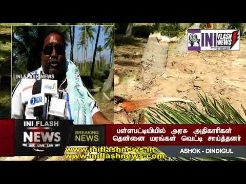 DINDIGUL DIST PALLAPATTI THANNAI DAMAAGE NEWS