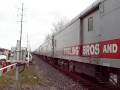 CSX Circus Train 11 17 2008