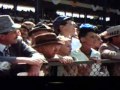 THE BLACK STALLION KID HORSE RACE HD MOVIE 1979