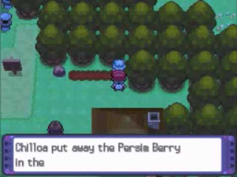 Pachirisu Only Run - Route 213