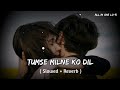 Tumse Milne Ko Dil - Lofi song [ Slowed & Reverb ] | #slowedandreverb #kumarsanu #lofi #alkayagnik