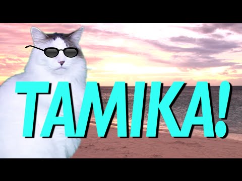 HAPPY BIRTHDAY TAMIKA! - EPIC CAT Happy Birthday Song