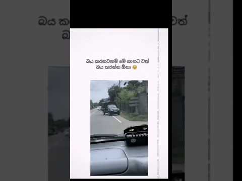 ||අන්න ඒකයි..😁😅😌Subscribe☝️#viralvideo#highlights