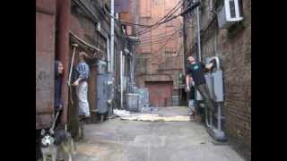 TARNATION "Beginning to the End"