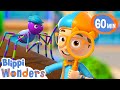 Blippi Wonders How Do Spiders Make Their Webs Blippi Wonders Educational Videos For Kids
