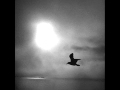 Chris Whitley - Serve You (Live in Hamburg)