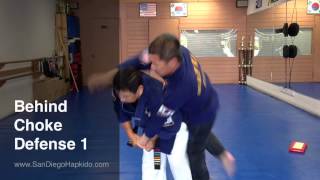 Hapkido Behind Choke Defense 1