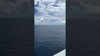 Happy Holiday🎉 #holiday #thailand #cruise #youtube #fun #funny