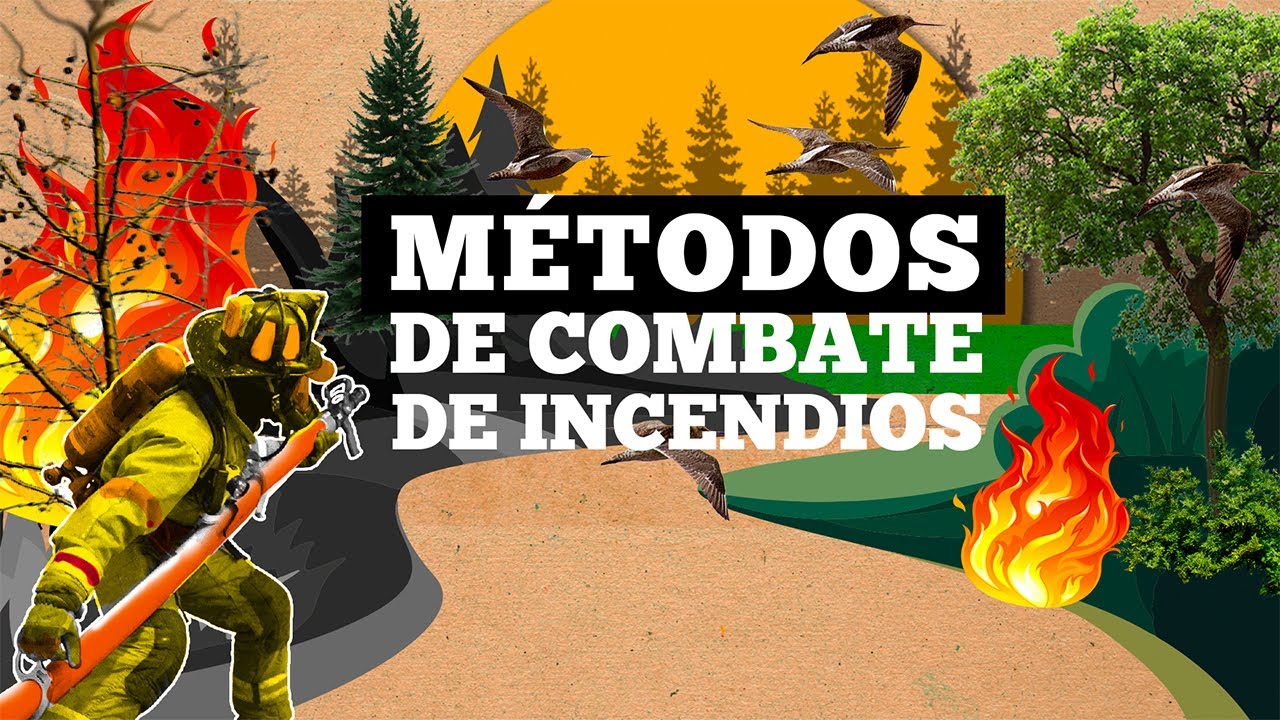 Métodos de Combate de Incendios Forestales