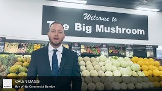 Calen Dagis interview with The Big Mushroom Fruit Barn