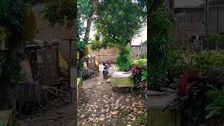 Download lagu Wild wind doesn't matter for them,keep practise soccer..Daffan adlh best player & goal keeper🤩 mp3