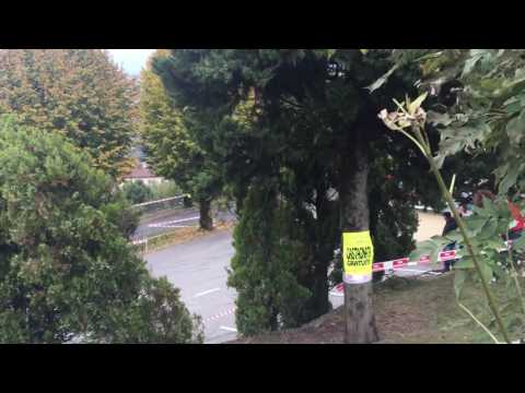 Rally di Como 2016 Val Cavargna PS8