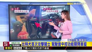 [黑特] 比特犬極可能是被飼主故意放出來的