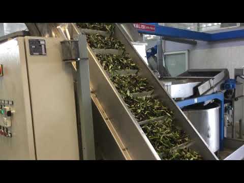 Modern Facility for production of olive oil in Mesara