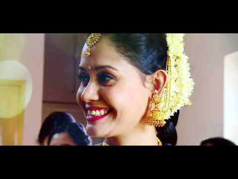 Adheen  Dany  Wedding Highlights