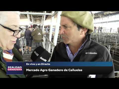 REALIDAD GANADERA - Remata Martin G. Lalor (14-10-25)