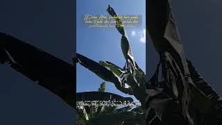 Download lagu DO'A BULAN RAJAB (Santri Njoso) mp3