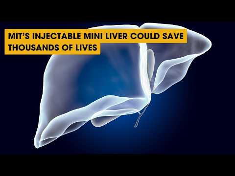 MIT's Injectable Mini Liver Could Save Thousands of Lives