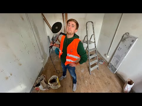 DEMOLIAMO LO STUDIO (e basta) - Cane Secco