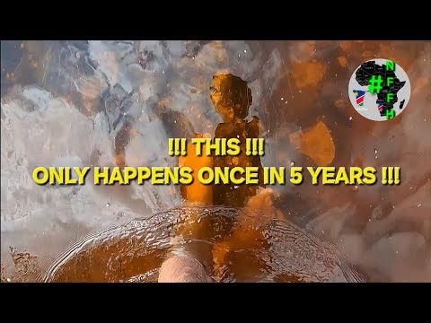 Rare 5-Year Event: Namibian Food Forest Homesteading