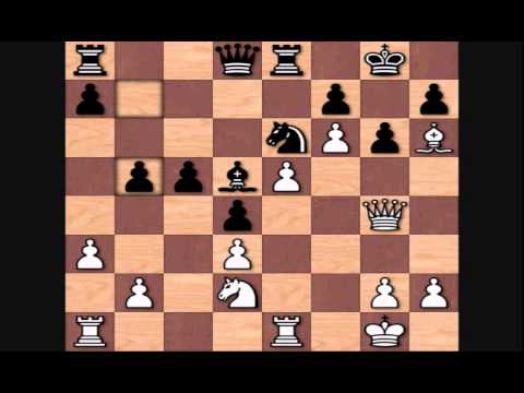 Viswanathan Anand's Top Games: vs David Pardo Simon