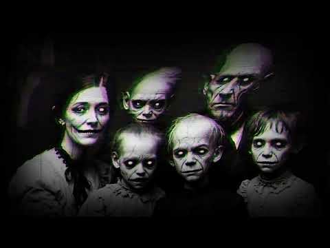 Project True Terror 2 – Halloween Window Projection with Creepy Sounds & Visuals