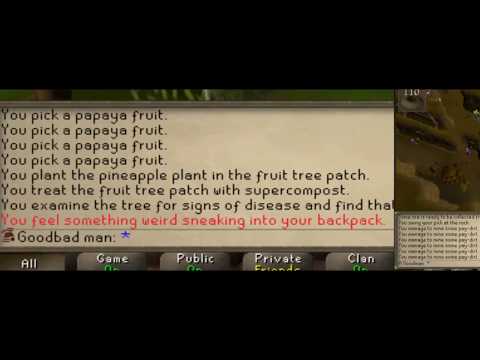 OSRS Tangleroot pet HCIM