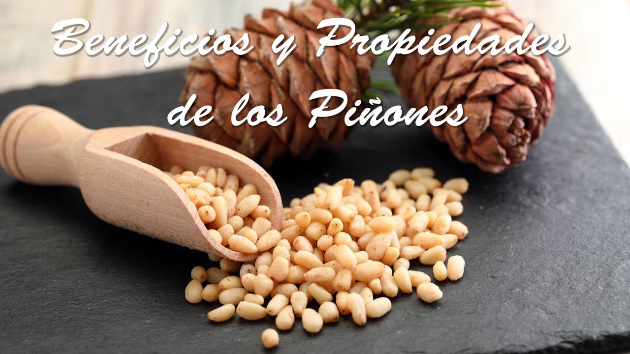 BENEFICIOS Y PROPIEDADES DE LOS PIÑONES