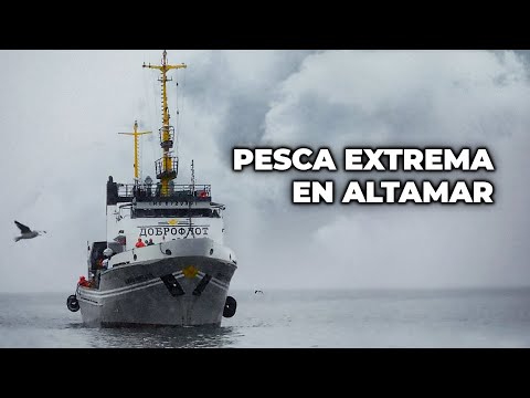 El Coloso del Mar: El Desafío del Abastecimiento y de la Supervivencia en AltaMar