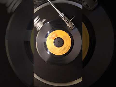 Disco Duck ~ Rick Dees & His Cast Of Idiots