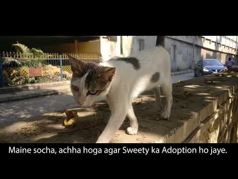 Sweety ko 'Good Vibes' bhhejo - Short Film