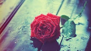 Holes in the Floor of Heaven --  Steve Wariner