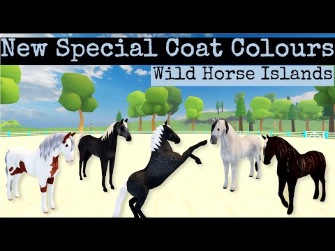 , title : 'New Special Coat Colours - Wild Horse Islands'