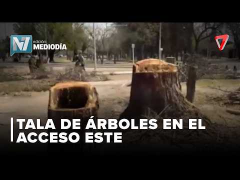 MALESTAR VECINAL | Cortan árboles por las obras en el Acceso Este