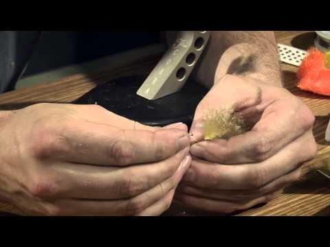 Perhosta : Simppu 1, jakso 16 - Kalapaikka