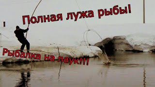 Календарь рыбы ловля на волге в июле 2020