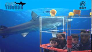 DIA 3 Expo Tiburon120